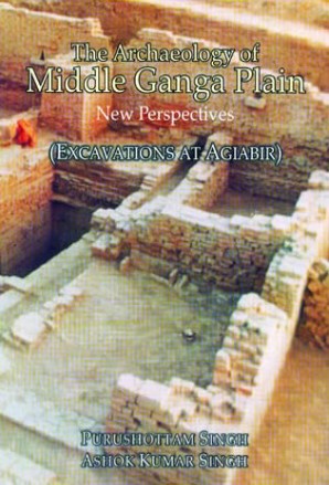 The Archaeology of Middle Ganga Plain